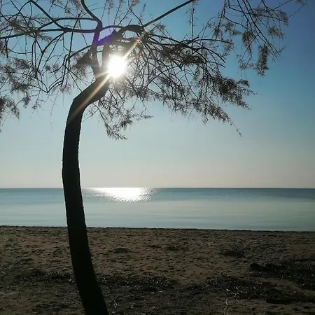 カプセルホテル View